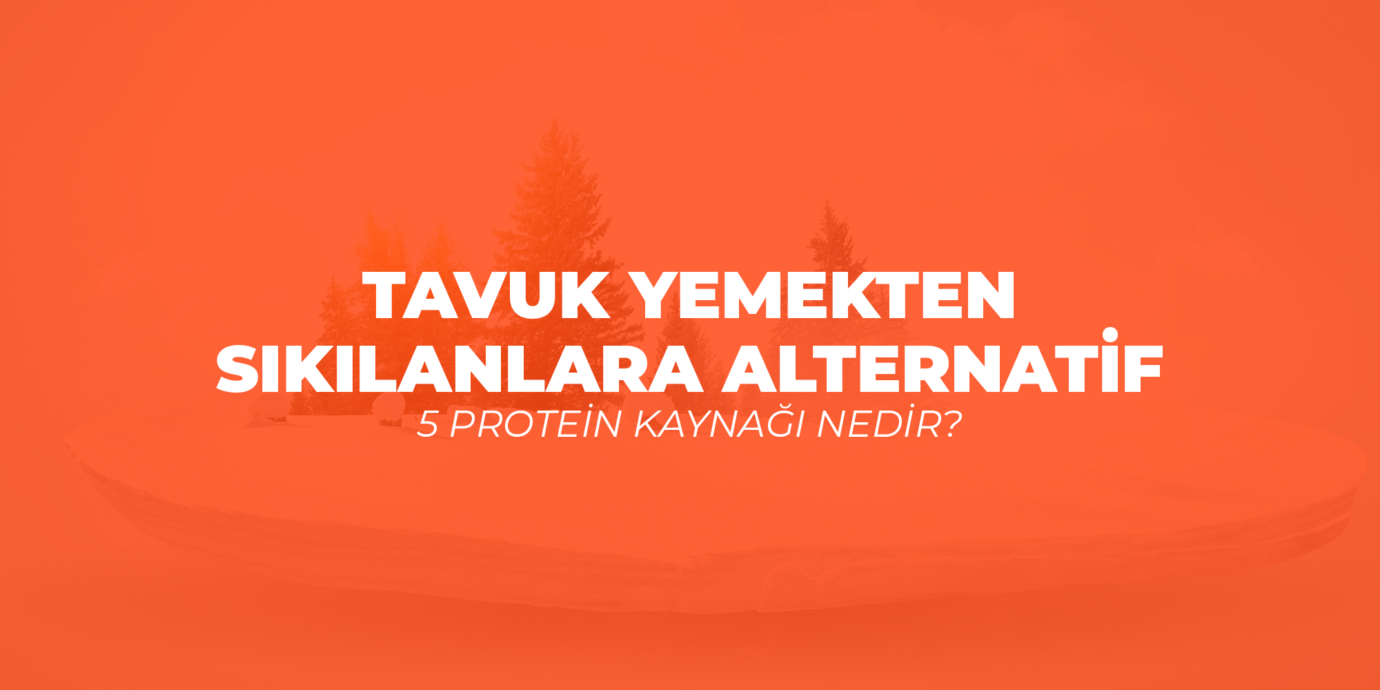 Tavuk Yemekten Sıkılanlara Alternatif 5 Protein Kaynağı