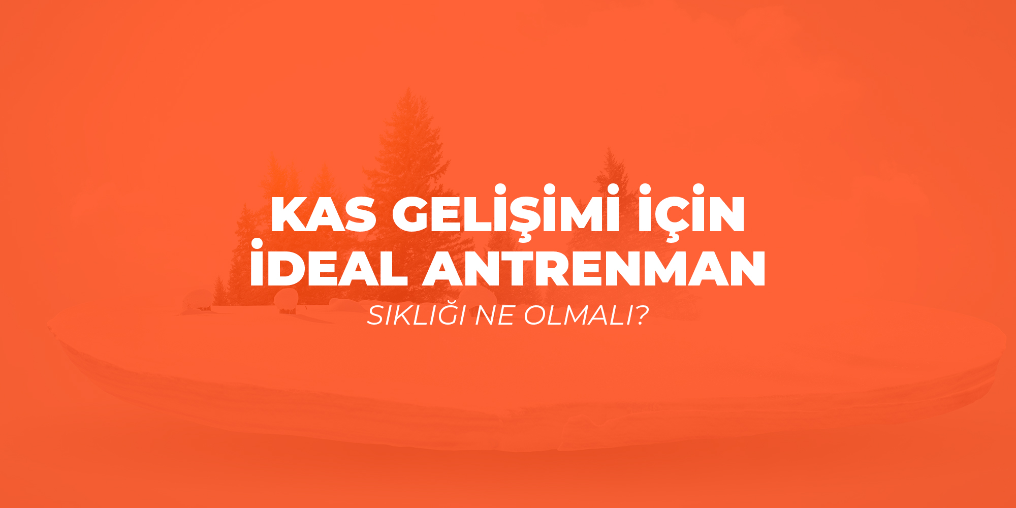 Kas Gelişimi İçin İdeal Antrenman Sıklığı Ne Olmalı?